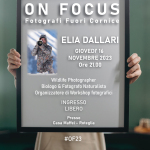locandina On Focus Elia Dallari